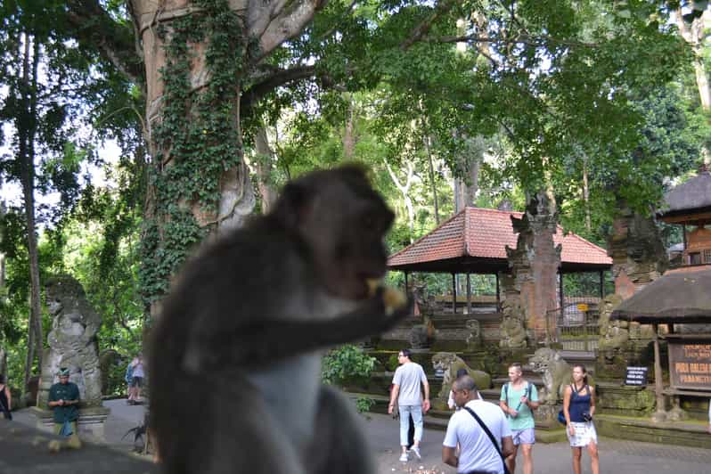 巴厘岛标志性最佳 3 日套餐旅游 | GetYourGuide