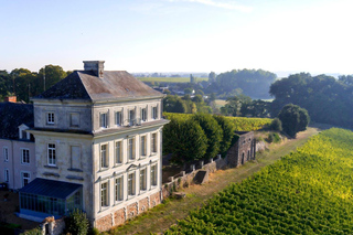 Angers: Guided Wine Tour at Château d'Avrillé with Tasting
