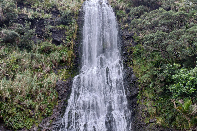 “City & Coast & Country” – A Relaxed Day Tour from Auckland “City & Coast & Country” – A Relaxed Day Tour from Auckland