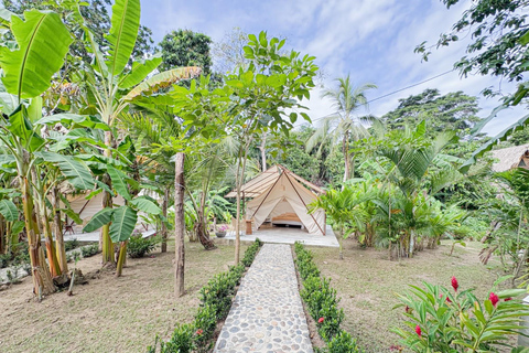 Cartagena – Tayrona Park: 2 days + Glamping + 7 beaches + Transportation