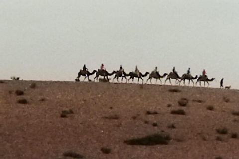 Deserto di Marrakech: Cena spettacolo al tramonto nel deserto di Agafay