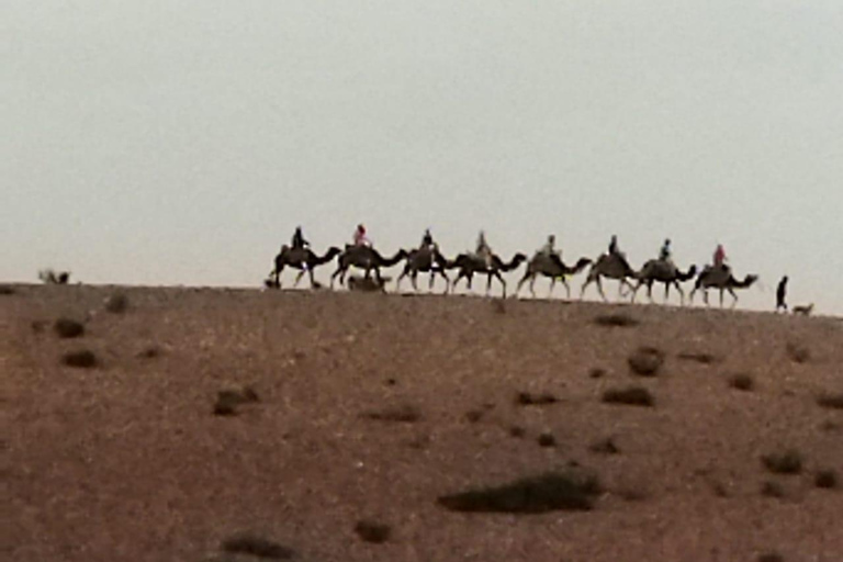 Marrakech desert: Agafay Desert Sunset Dinner Show