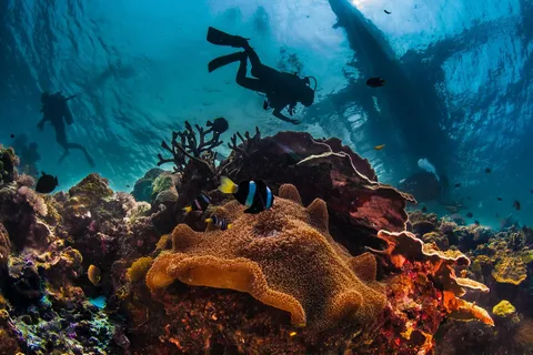From Antalya Side Alanya: Scuba Diving with Lunch & 2 Dives