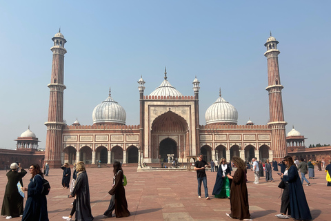 Agra: Taj Mahal, Agra Fort, and Jama Masjid Guided Tour This Options Includes Only Tour Guide,