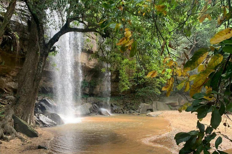 Kwale: Private day tour to Shimba Hills with Picnic lunch