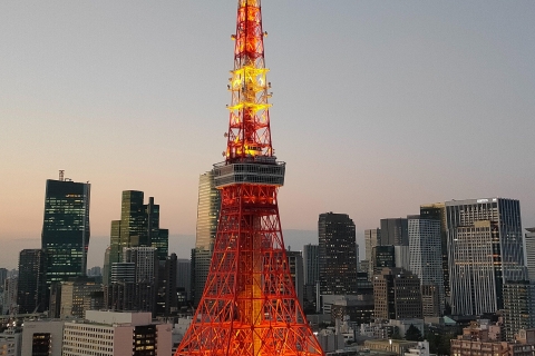 Tokio dagvullende tour met Engelssprekende gids