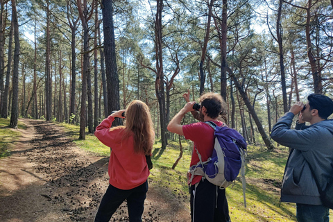 Explore a ilha de Sobieszewo: Caminhada pela natureza e excursão a pé pela vida selvagem