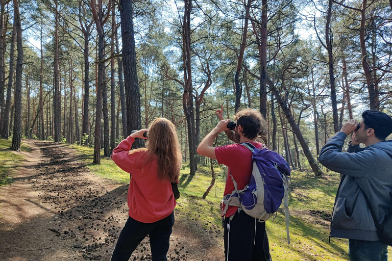 Utforska Sobieszewo Island: Naturvandring och tur med vilda djurUtforska ön Sobieszewo: Naturvandring och djurlivstur