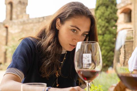 Florence: Monteriggioni & Val d'Orcia Optional Wine Tasting Classic Option in Portuguese