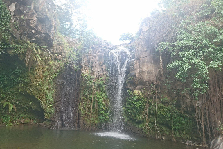 Lushoto: Soni Falls and Usambara Mountains Day Trip