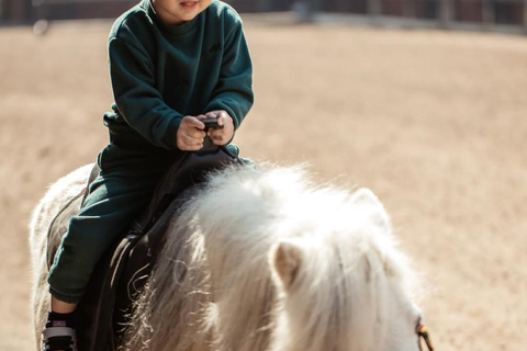 巴库骑马体验：邂逅世界名驹标准套餐