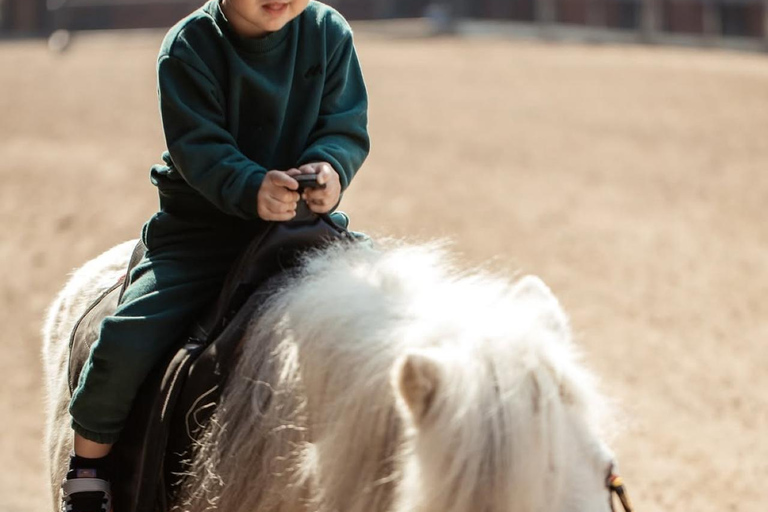 巴库骑马体验：邂逅世界名驹标准套餐