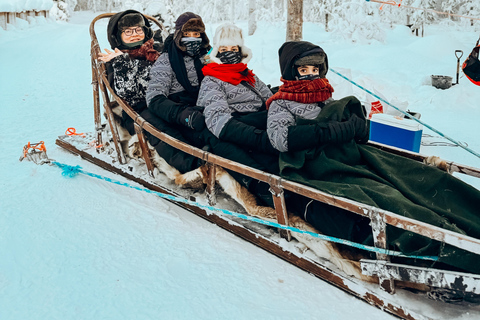 Rovaniemi: Santa Claus Village & Arctic Circle Crossing Tour