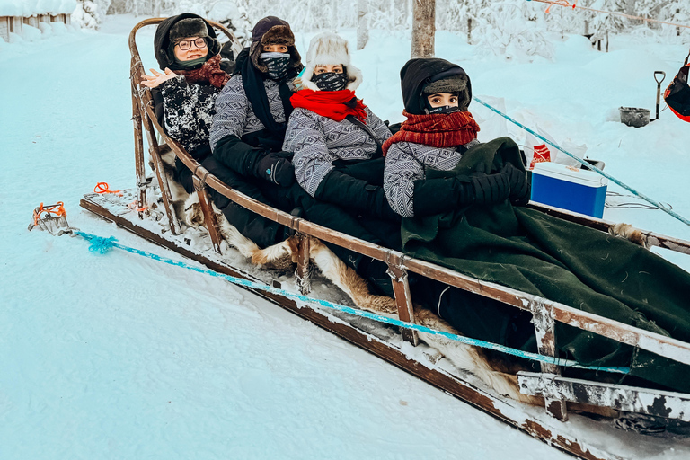 Rovaniemi: Santa Claus Village & Arctic Circle Crossing Tour