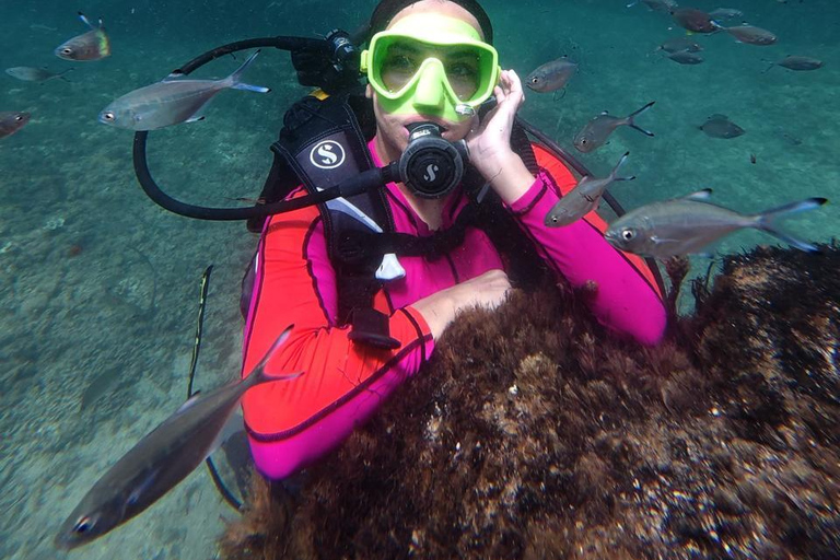 Mahdia: Guided Medina Tour and Scuba Diving Experience