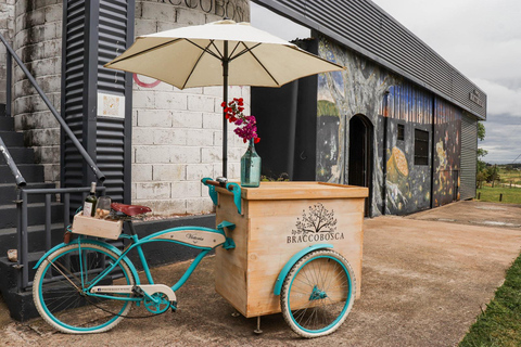 Rundtur på Braccobosca vingårdBraccobosca vingårdstur med provsmakning av vin Premium