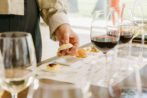 Barcelona - Penedes: Guided Tour at Jean Leon: 4 wines, 4 tapas Guided Tour with Tapas: Jean Leon Journey: 4 wines, 4 stories