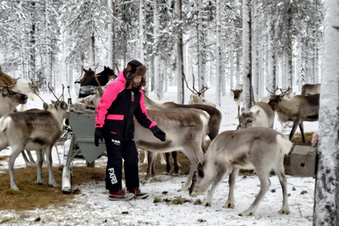 Rovaniemi: visita alla fattoria delle renne ed esperienza culturale