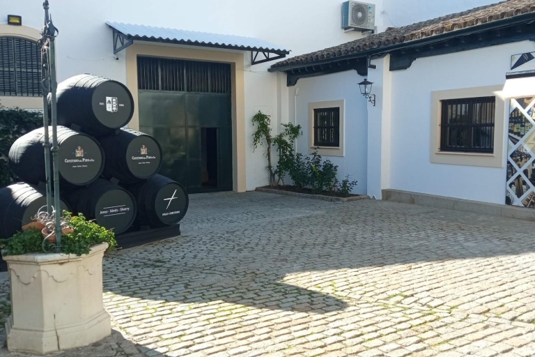 Besuch einer jahrhundertealten Weinkellerei im Zentrum von Jerez