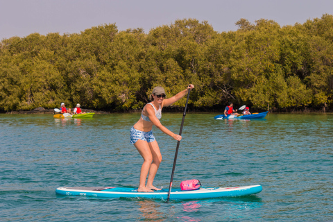 Abu Dhabi: Stand-Up Paddle boarding Tour guiado