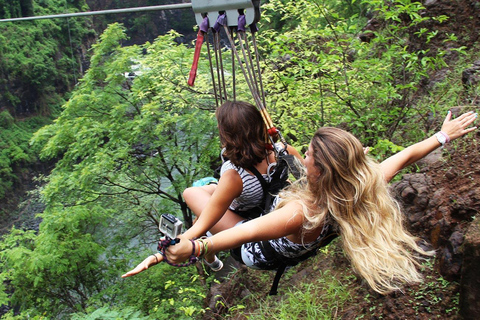 Livingstone: Mosi-oa-Tunya Park Safari and Zipline Tour