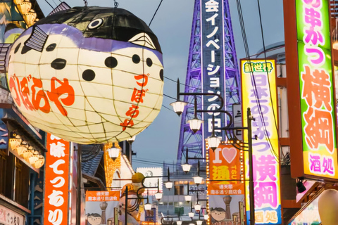 From Osaka/Kyoto/Nara: Customizable Private Tour & Car/Guide