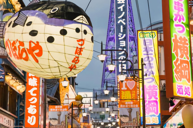 From Osaka/Kyoto/Nara: Customizable Private Tour & Car/Guide
