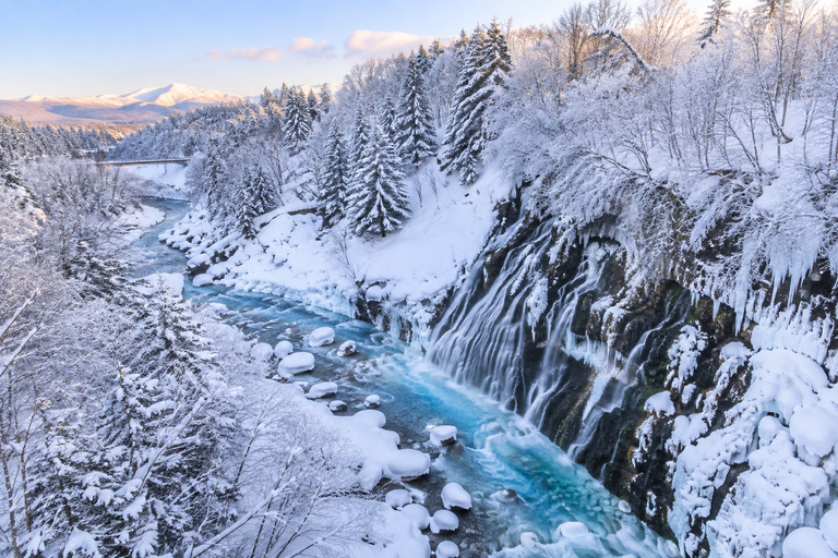From Sapporo: Blue Pond Illumination & Ningle Terrace