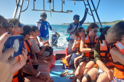 Découvrez une incroyable excursion de plongée en apnée dans les récifs au départ de Cancun !