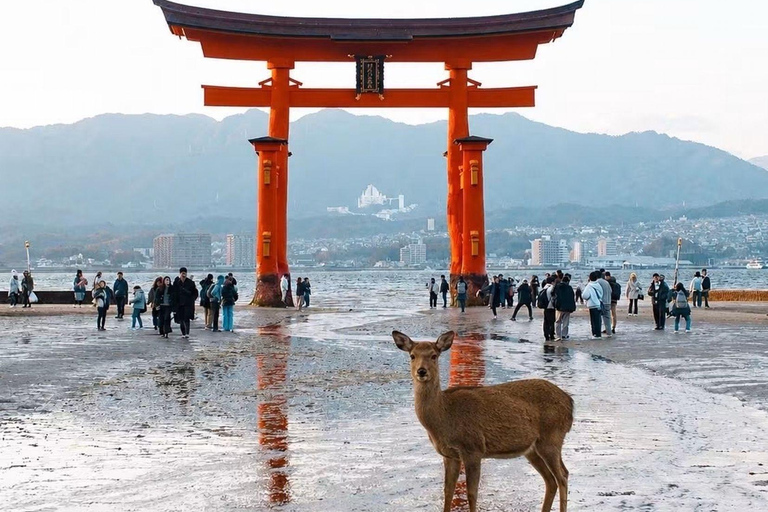 Kyoto & Osaka: Private Customizable Day Trip with Guide
