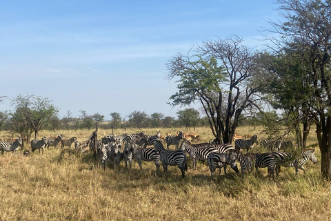 Arusha: Serengeti National Park Overnight TripJoining Safari: Serengeti National Park Overnight Camping