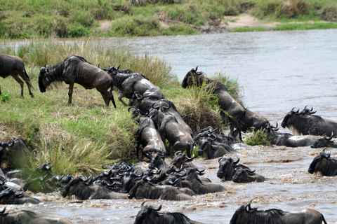 Z Zanzibaru: 8-dniowe safari w Tanzanii i wakacje na Zanzibarze