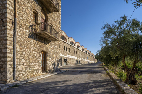 Patras: City Tour with Optional Visits and Wine Tasting