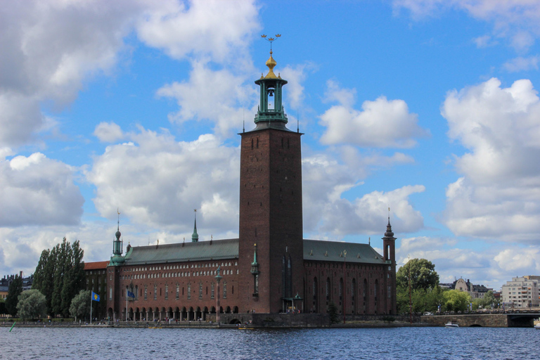 Stockholm: Must-sees tour of City Hall, Old Town & Vasa Ship 私人中文导游