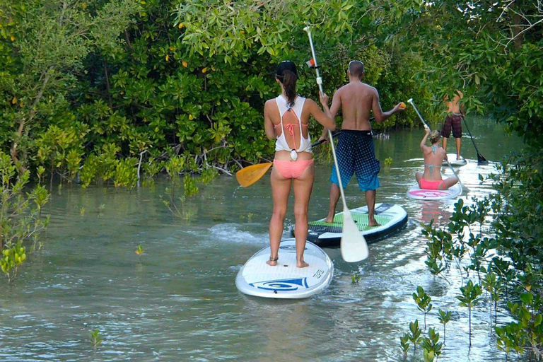 Zanzibar: SUP Avontuur, Kruidentuin &amp; Rotsrestaurant Tour