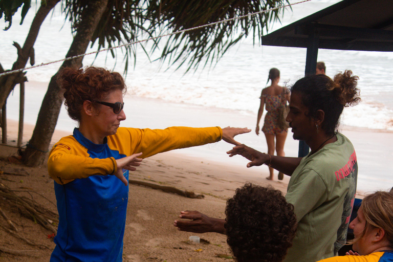 Weligama: 3 day Beginner Learn-to-Surf Experience