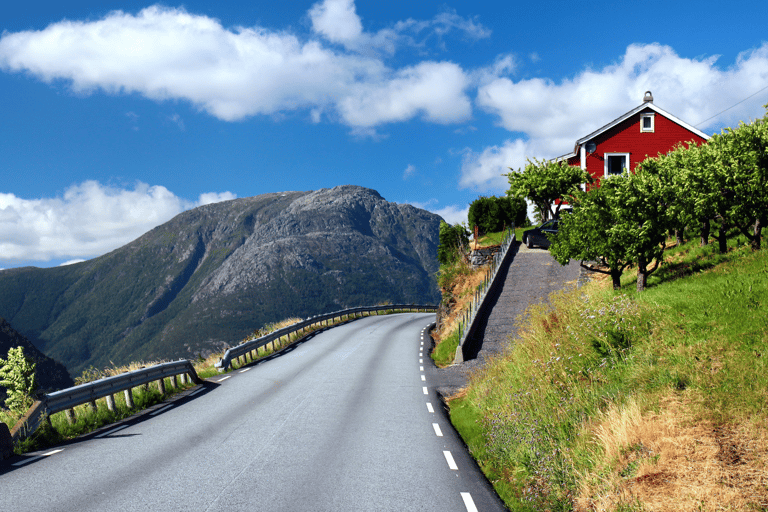 Oslo: Pociąg i wycieczka autobusowa do Bergen przez Hardangervidda/Fjord