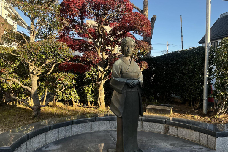 Da Narita: Tour storico di Narita e Sawara con crociera in barca