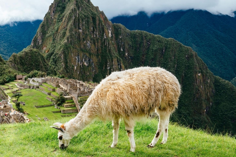 Z Cusco: Wycieczka pociągiem turystycznym do Machu PicchuMachu Picchu 2 dni