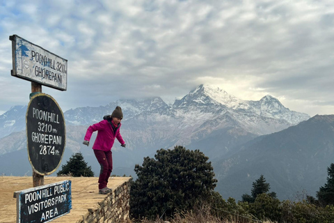 Vanuit Pokhara: 4-daagse Poon Hill trektocht met transfers