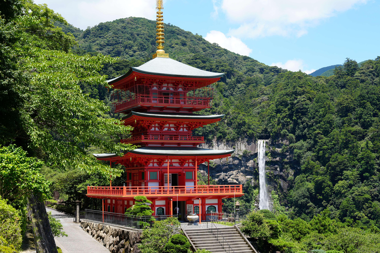Kumano Kodo & Kumano Sanzan One-Day Tour from Osaka