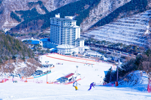 Elysian Snowboard Day Tour(Clothing+Gear+Basic Lessons+Lift) Depart From Dongdaemun History&Culture Park station Exit 11