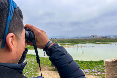 Dernier petit refuge de faune sauvage à Lima