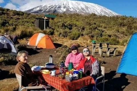 Tanzania: 7-Day Lemosho Route Kilimanjaro Climbing