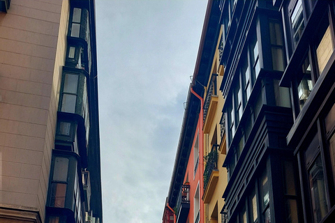 Bilbau: visita guiada em espanhol à cidade velha e à Catedral de SantiagoBilbau: visita guiada em espanhol à Cidade Velha e à Catedral de Santiago