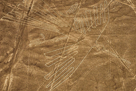 Da Nazca: Volo in aereo leggero sopra le Linee di NazcaDa Nazca: Volo in aereo sulle linee di Nazca