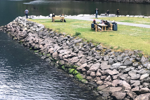 Från Bergen: Dagsutflykt med Flams järnväg och Fjordkryssning