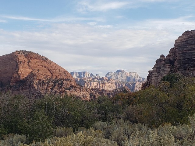 Visit Zion National Park - Kolob Terrace 1/2 Day Sightseeing Tour in Zion National Park