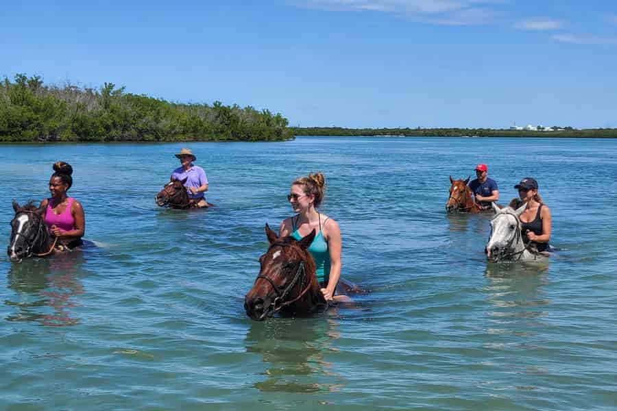 Bradenton: Reitausflug am Strand mit Schwimmen im Meer und Delfinen. Foto: GetYourGuide Bradenton: Reitausflug am Strand mit Schwimmen im Meer und Delfinen. Foto: GetYourGuide