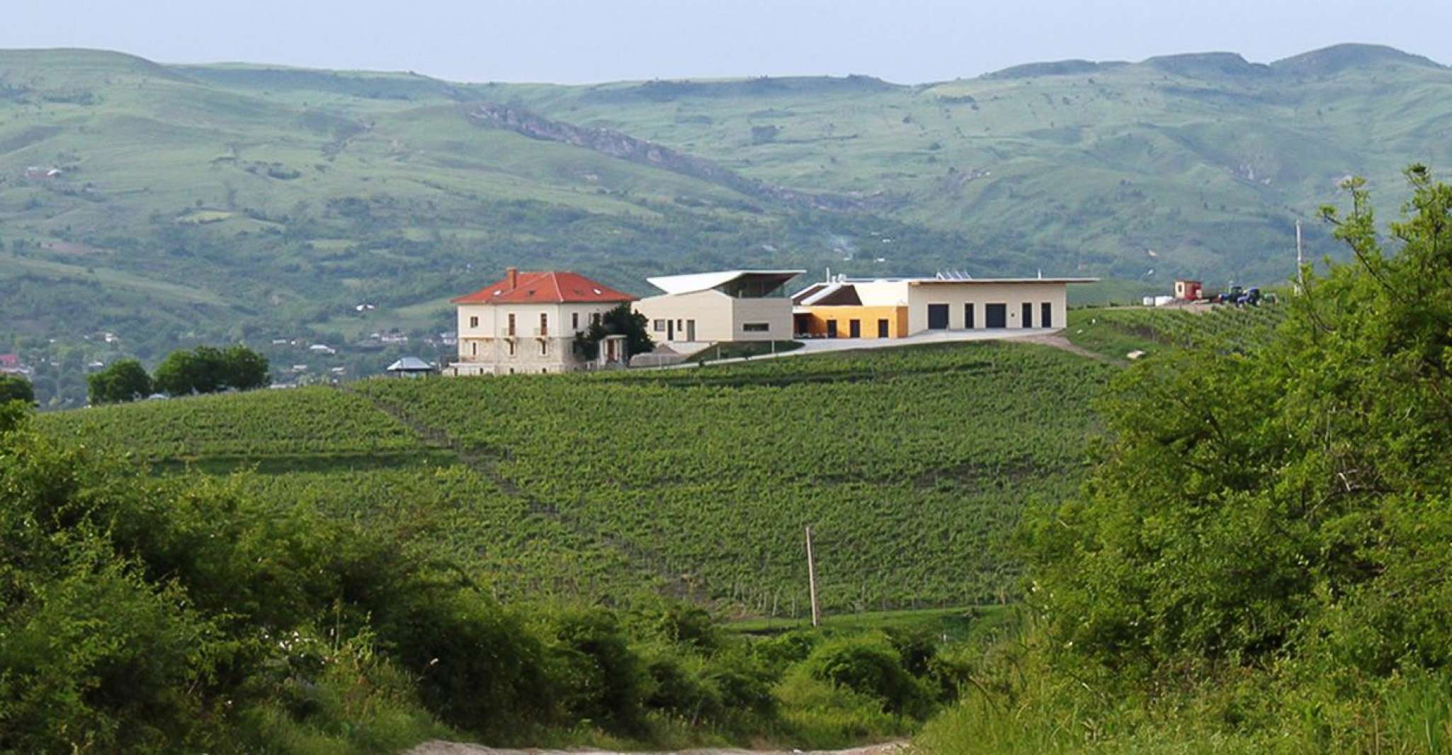 Dealu Mare Wineries, Wine Tasting Tour on the Old Wine Road - Housity